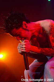 Adema - mark32[1].jpg